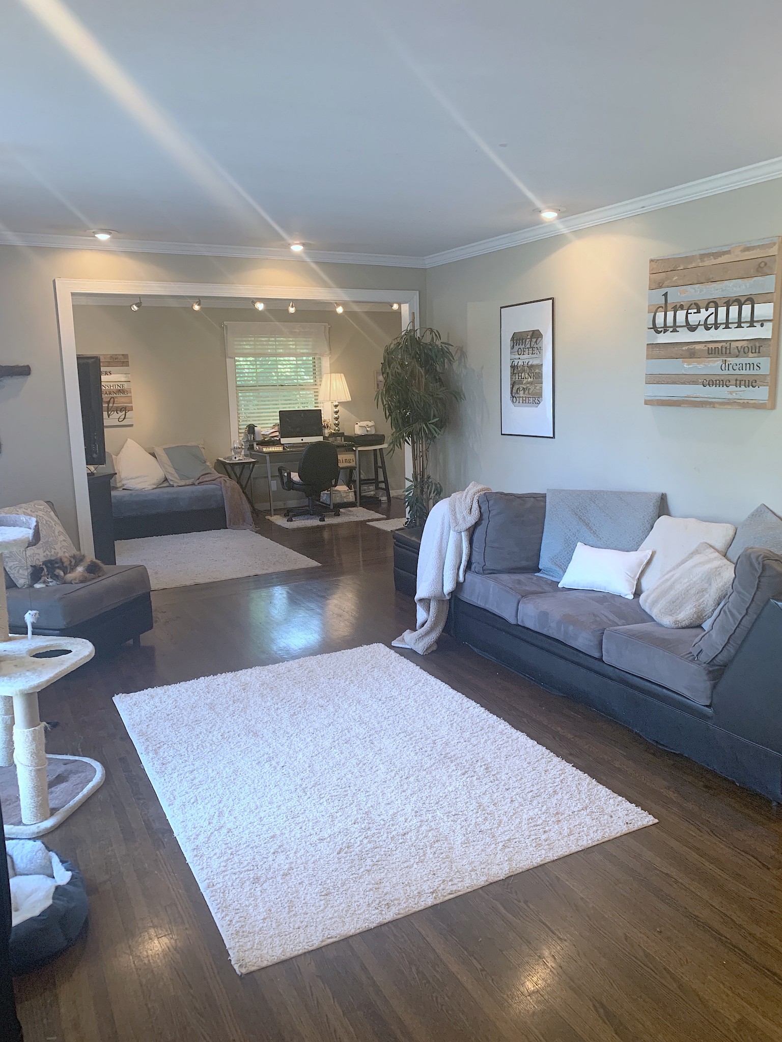 562 Walton Ferry Road Hendersonville, TN 37075 - Photo 6 of 24 a living room with furniture and a couch