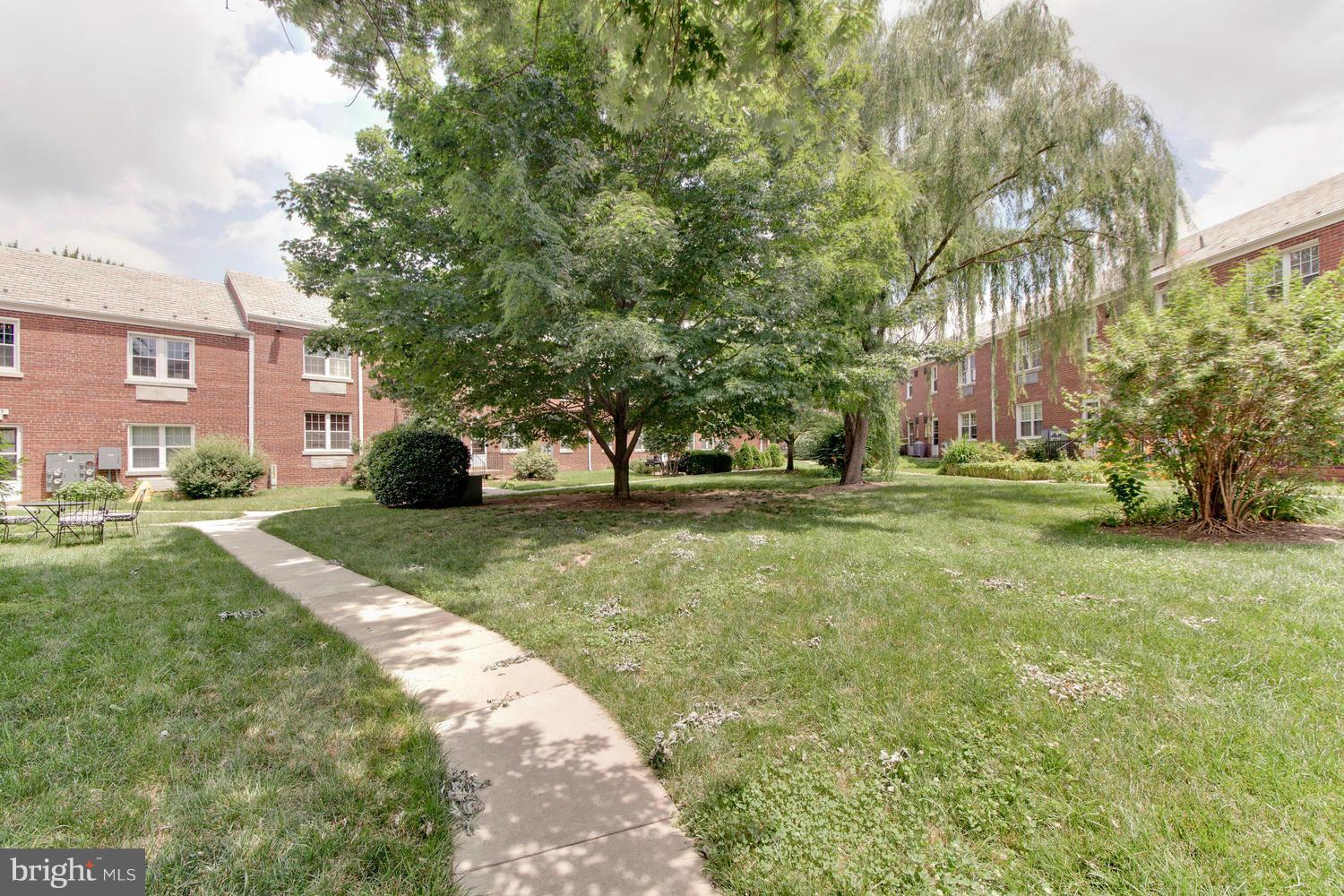 207 West Glebe Road, Unit B Alexandria, VA 22305 - Photo 16 of 18 Courtyard & Grounds