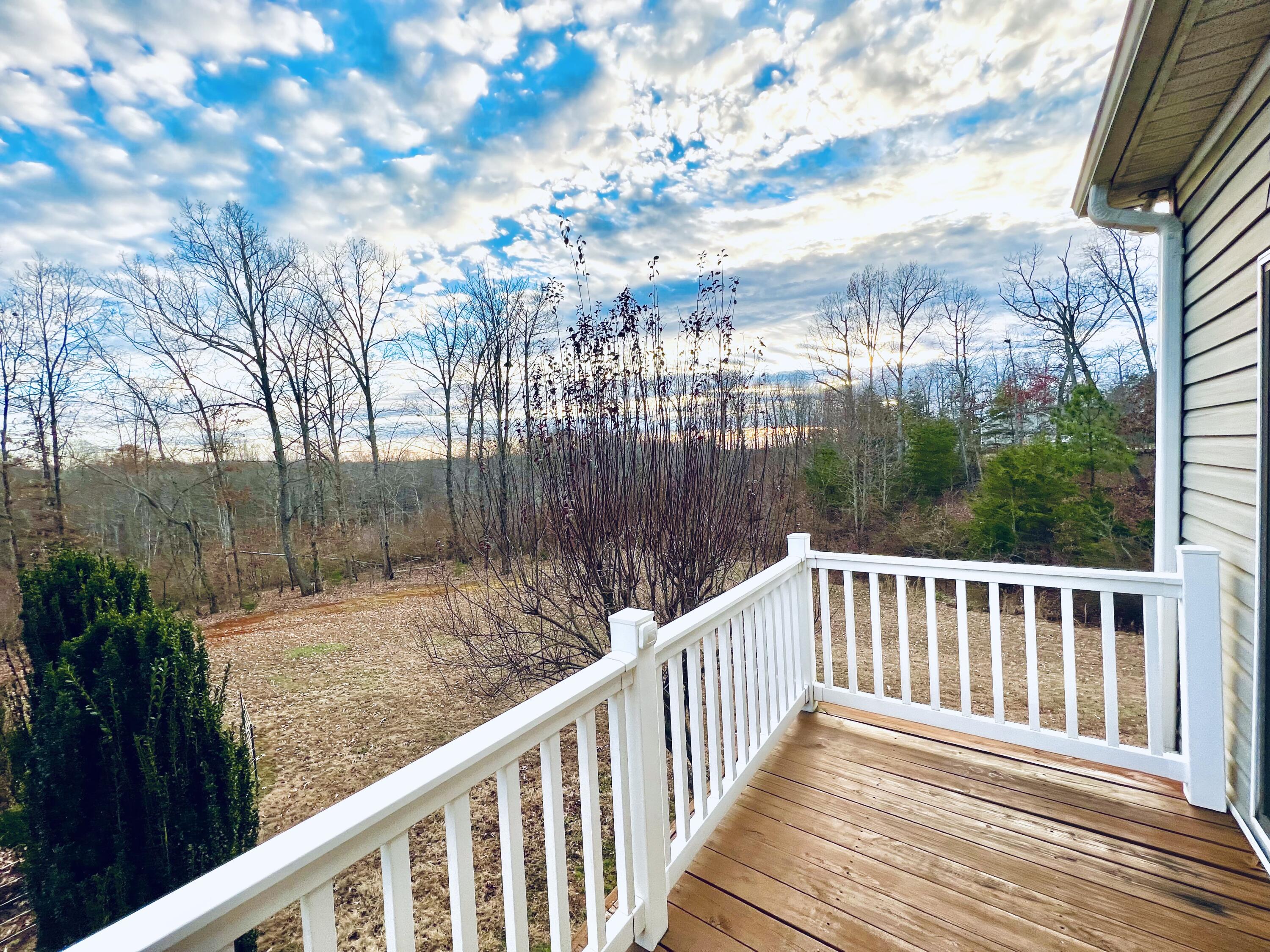 1090 Cinnamon Ridge Road Moneta, VA 24121 - Photo 49 of 127 IMG_1418