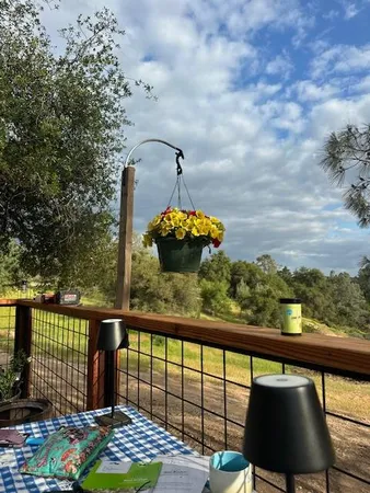 a view of a park with large trees