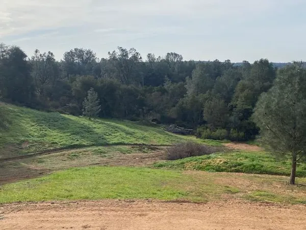 an aerial view of a yard