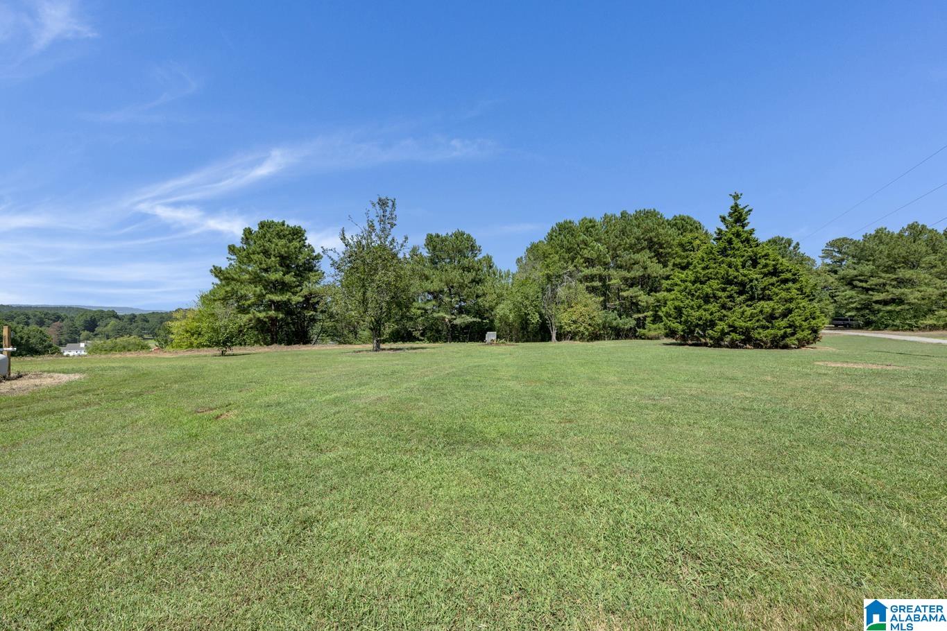 335 Wood Ridge Drive Locust Fork, AL 35097 - Photo 33 of 33