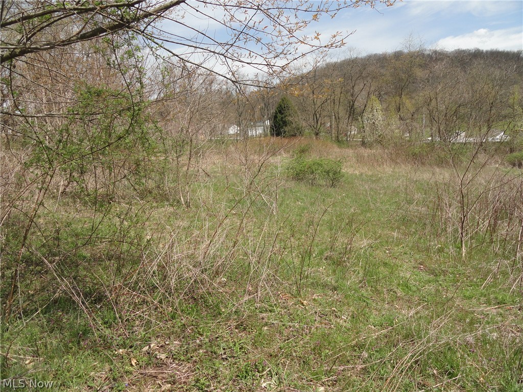 Johnsonville Road Chester, WV 26034 - Photo 8 of 20 Gallery Image 8