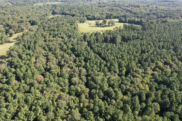 a view of a city with lush green forest