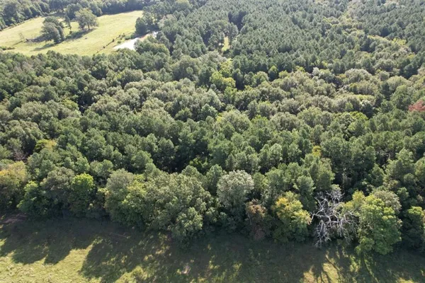 a view of backyard with green space