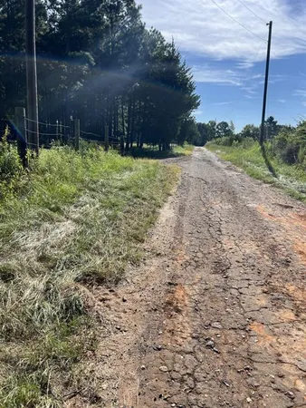 a view of a forest with houses