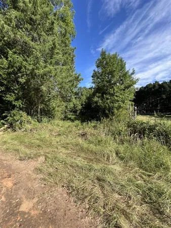 a view of outdoor space with green space