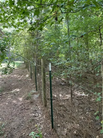 a view of a trees in a yard