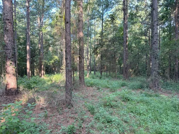 a view of outdoor space and green space