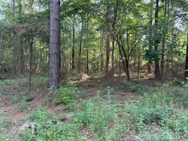 a view of outdoor space and green space