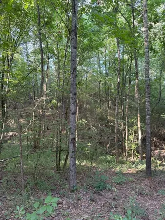 $324,000 | 168-1 County Road 168, Long Branch, TX 75669