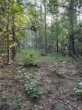 $324,000 | 168-1 County Road 168, Long Branch, TX 75669