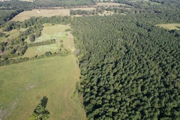 a view of a yard covered in snow