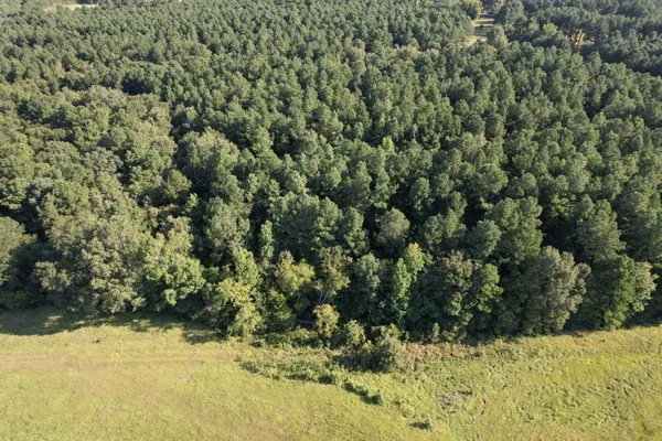 an aerial view of residential houses with outdoor space and trees