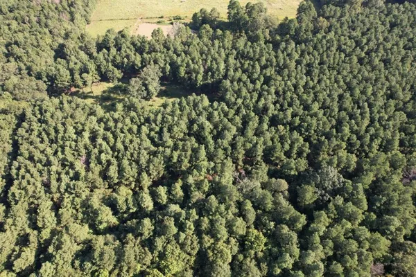 a view of a houses with a lake