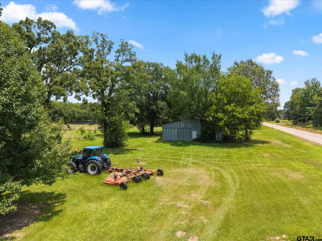 a view of a garden with large trees