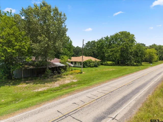 a view of a large trees with a big yard