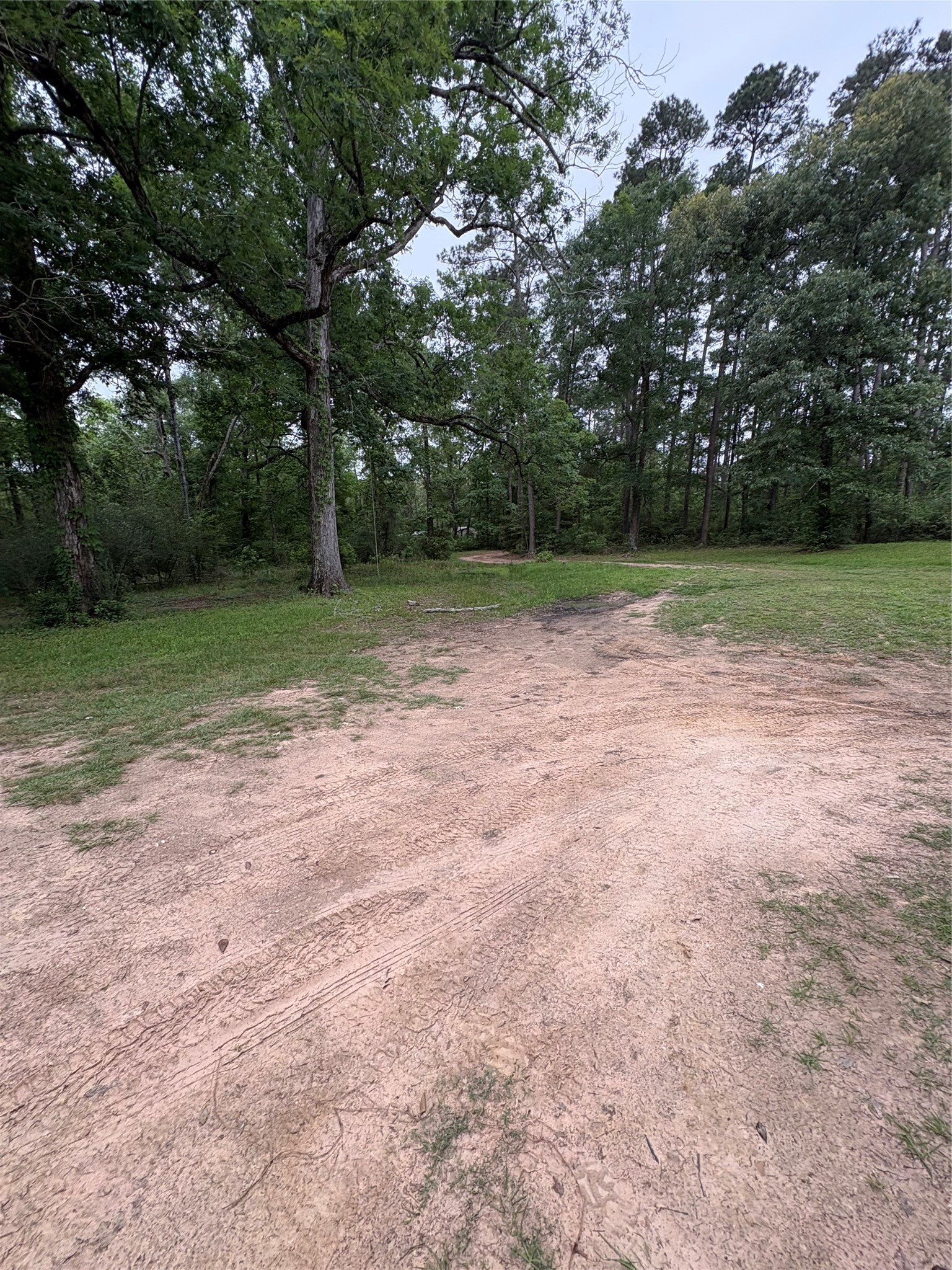 550 Dogwood Road Cleveland, TX 77328 - Photo 49 of 49 a view of outdoor space with trees
