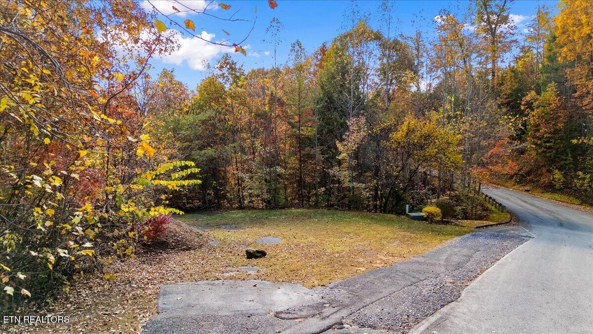 Lots In Starr Crest Sevierville, TN 37876 - Photo 30 of 53 106-107 Angela Starr Street