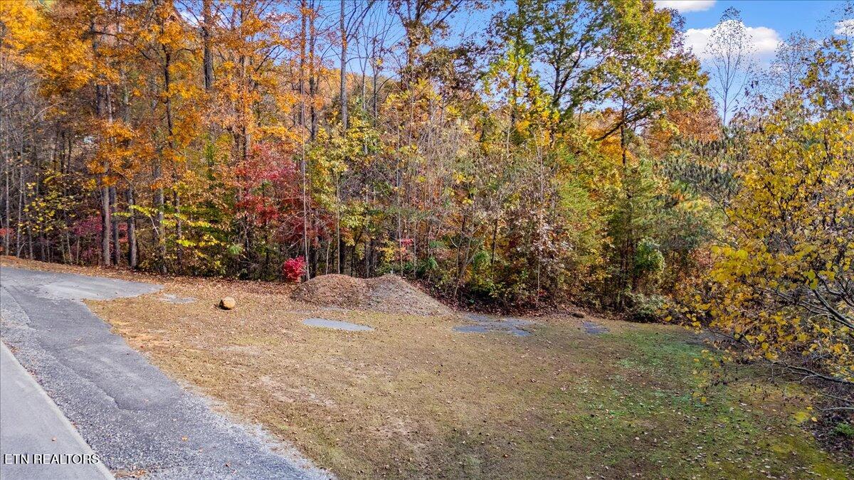 Lots In Starr Crest Sevierville, TN 37876 - Photo 31 of 53 106-107 Angela Starr Street