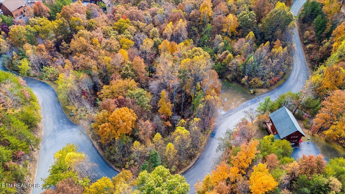 Lots In Starr Crest Sevierville, TN 37876 - Photo 36 of 53 106-107 Angela Starr Street