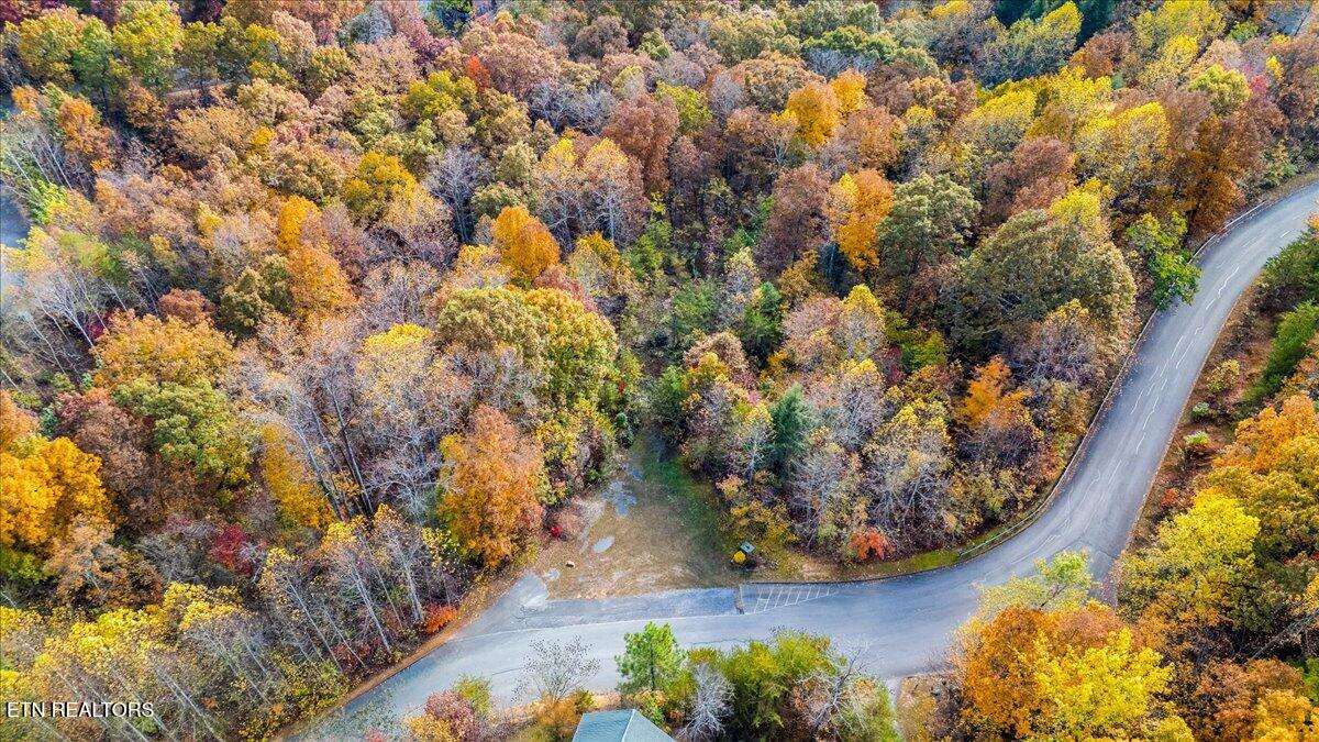 Lots In Starr Crest Sevierville, TN 37876 - Photo 37 of 53 106-107 Angela Starr Street