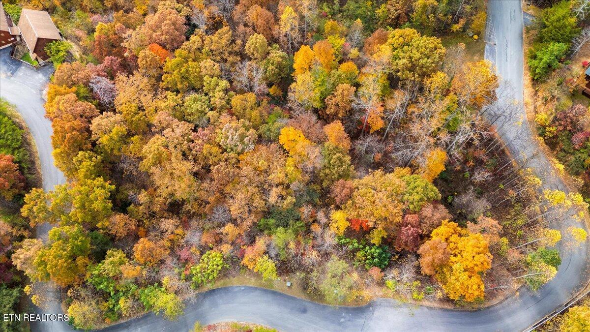Lots In Starr Crest Sevierville, TN 37876 - Photo 42 of 53 112-113 Starr Street