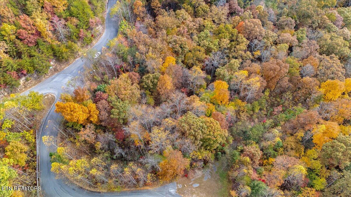 Lots In Starr Crest Sevierville, TN 37876 - Photo 43 of 53 112-113 Starr Street