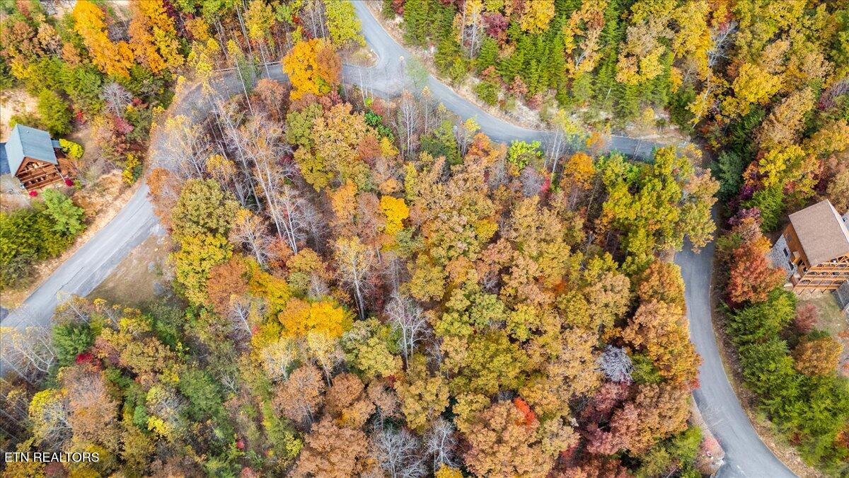 Lots In Starr Crest Sevierville, TN 37876 - Photo 45 of 53 112-113 Starr Street