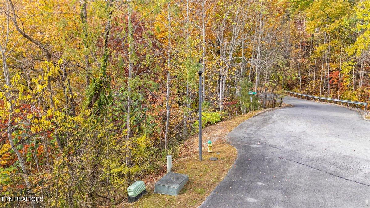 Lots In Starr Crest Sevierville, TN 37876 - Photo 46 of 53 112-113 Starr Street