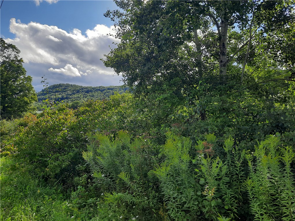 41 County Route Roxbury, NY 12474 - Photo 11 of 49