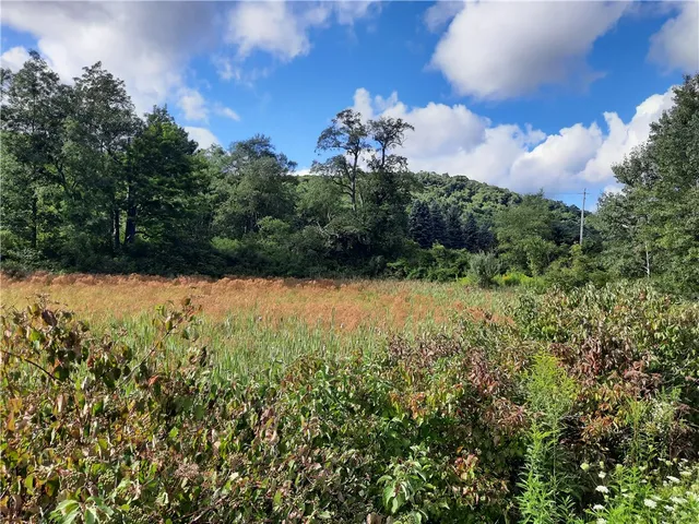 $149,000 | 41 Rd Roxbury Ny 12474 Road, Roxbury, NY 12474