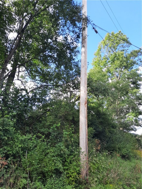 41 County Route Roxbury, NY 12474 - Photo 14 of 49