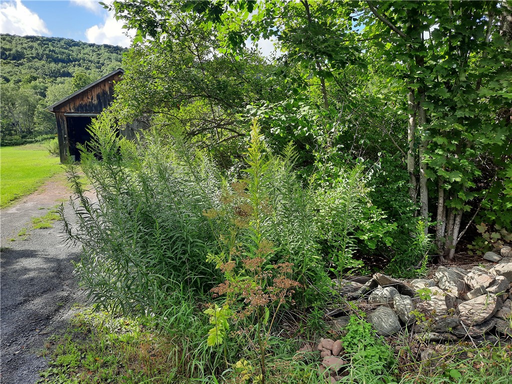 41 County Route Roxbury, NY 12474 - Photo 16 of 49