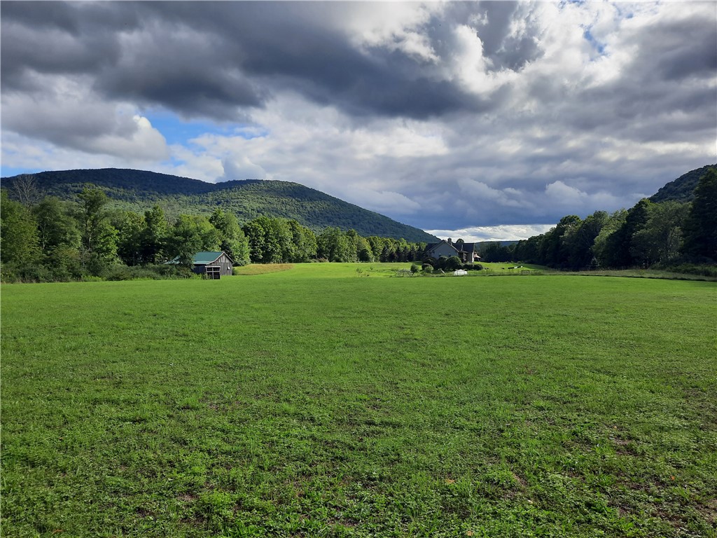 41 County Route Roxbury, NY 12474 - Photo 17 of 49