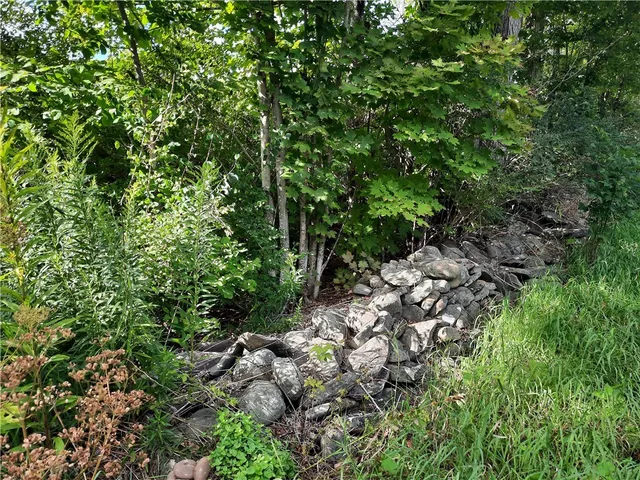 $149,000 | 41 Rd Roxbury Ny 12474 Road, Roxbury, NY 12474