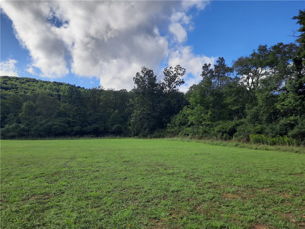 41 County Route Roxbury, NY 12474 - Photo 20 of 49