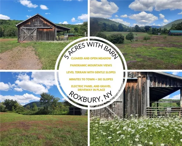 $149,000 | 41 Rd Roxbury Ny 12474 Road, Roxbury, NY 12474