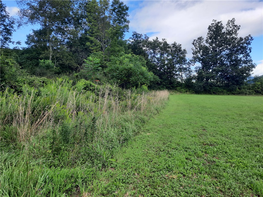 41 County Route Roxbury, NY 12474 - Photo 21 of 49