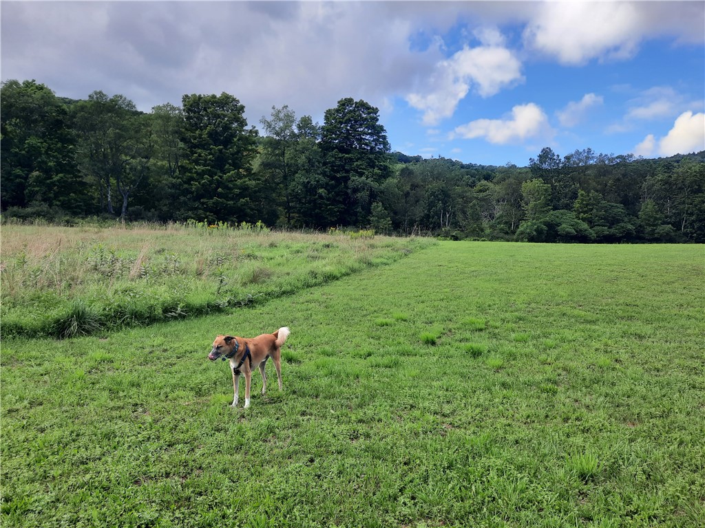 41 County Route Roxbury, NY 12474 - Photo 22 of 49