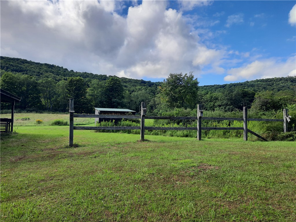 41 County Route Roxbury, NY 12474 - Photo 24 of 49