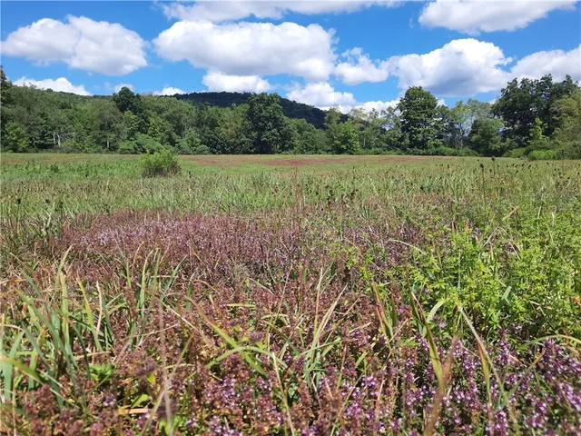 $149,000 | 41 Rd Roxbury Ny 12474 Road, Roxbury, NY 12474