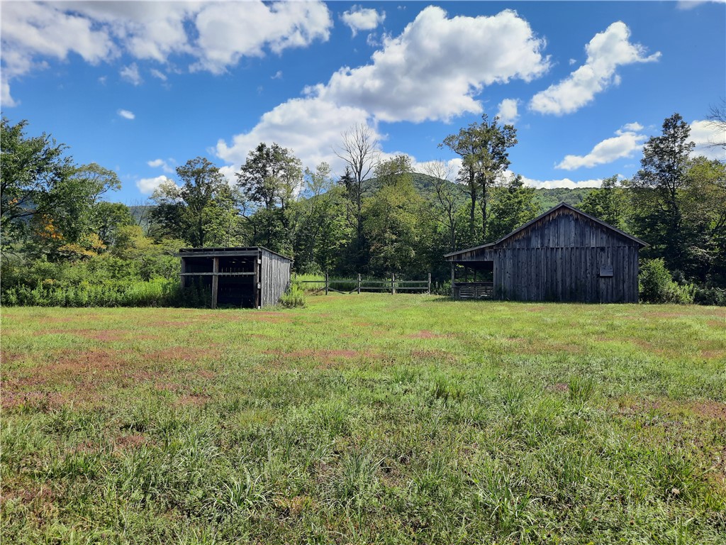 41 County Route Roxbury, NY 12474 - Photo 3 of 49