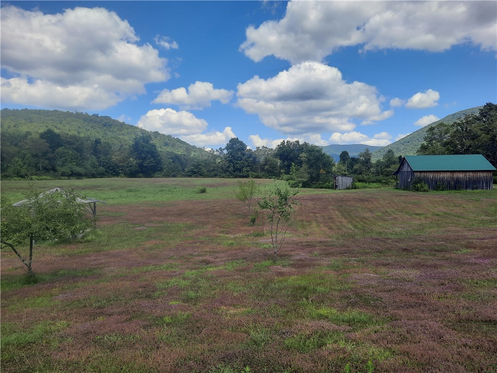 41 County Route Roxbury, NY 12474 - Photo 36 of 49