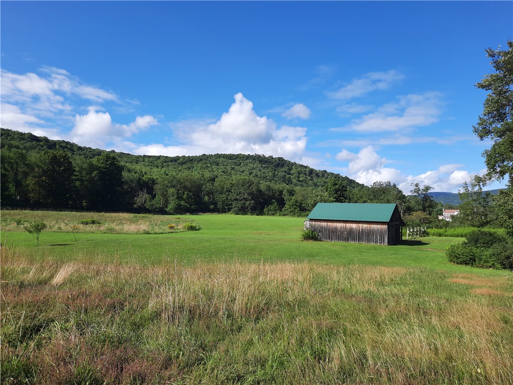 41 County Route Roxbury, NY 12474 - Photo 38 of 49