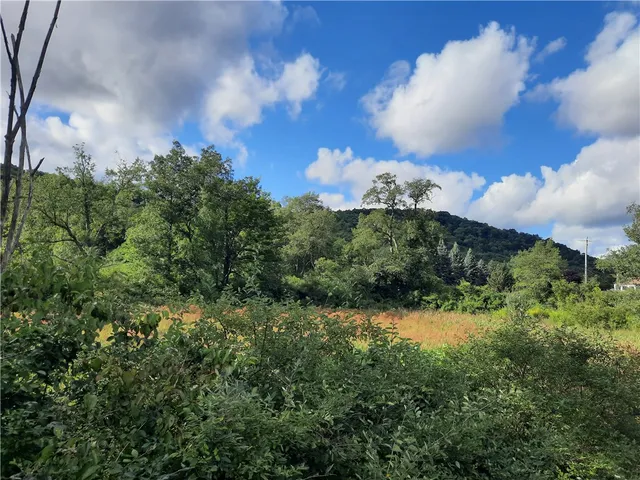 $149,000 | 41 Rd Roxbury Ny 12474 Road, Roxbury, NY 12474