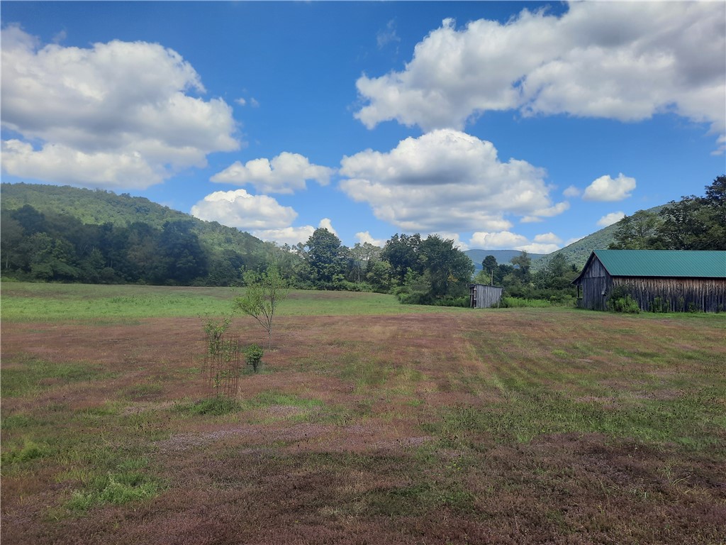 41 County Route Roxbury, NY 12474 - Photo 40 of 49