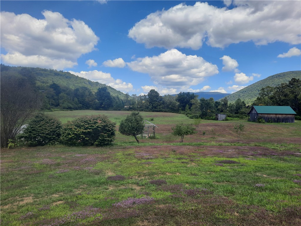 41 County Route Roxbury, NY 12474 - Photo 41 of 49