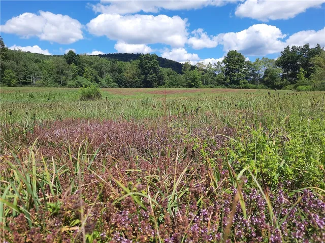 $149,000 | 41 Rd Roxbury Ny 12474 Road, Roxbury, NY 12474