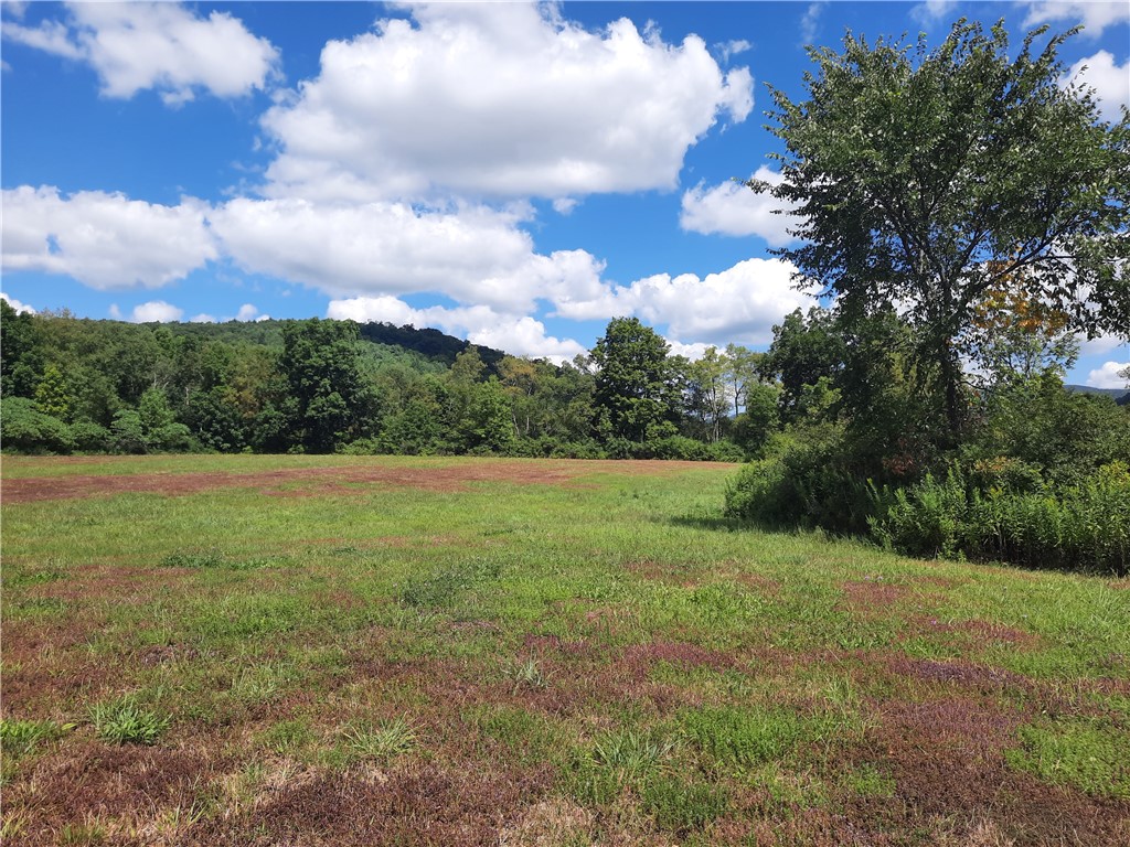 41 County Route Roxbury, NY 12474 - Photo 46 of 49